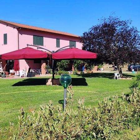 Agriturismo Calendiluna Luni Eksteriør billede