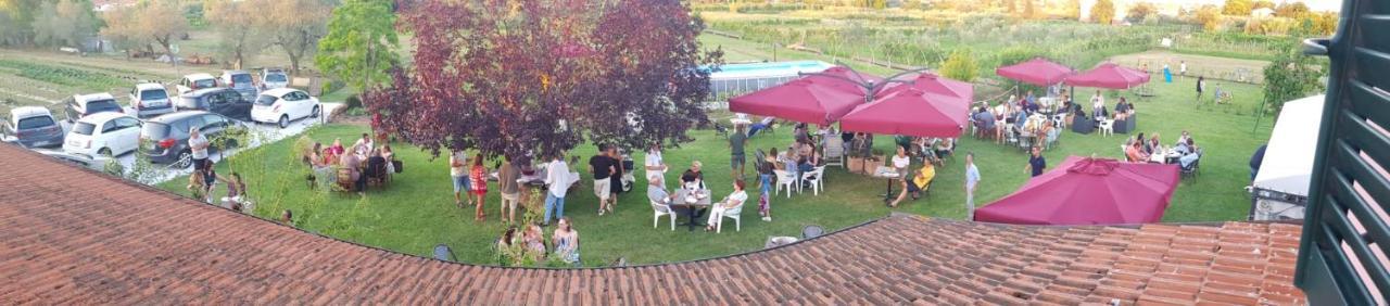 Agriturismo Calendiluna Luni Eksteriør billede